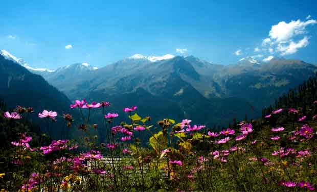 Best Deals on Manali Holiday Packages