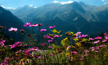 tourism in Manali-famous places around Manali