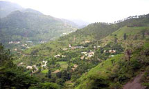 Top of Hill view in Shimla