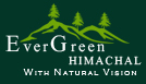 Evergreen Himachal